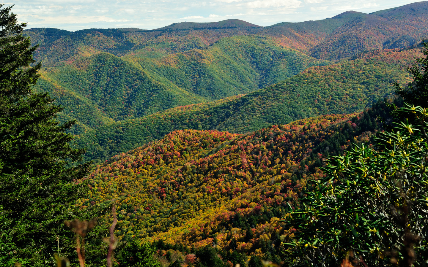 Blue Ridge Parkway [82 mm, 1/60 Sek. bei f / 10, ISO 400]